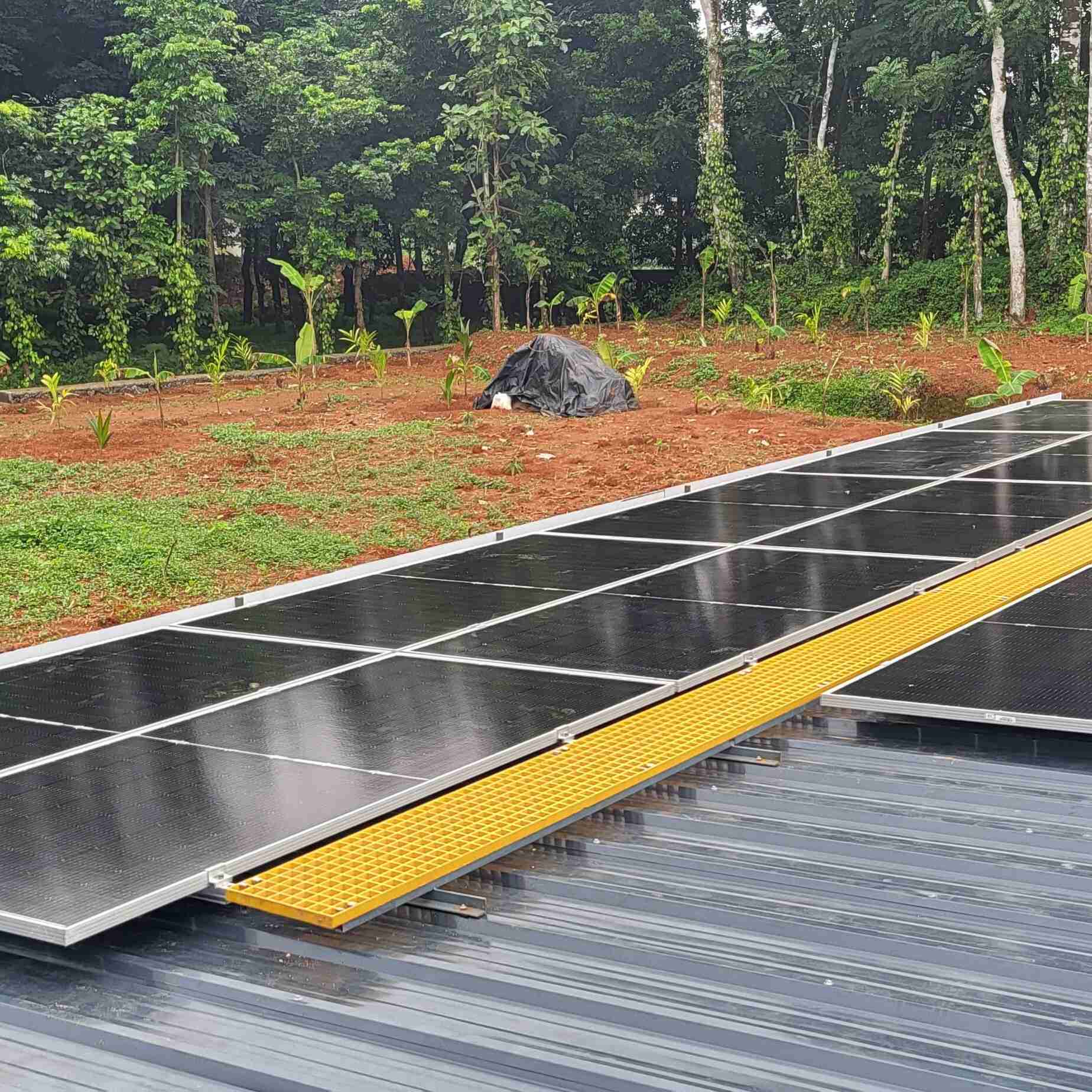 Solar panels on a gray rooftop with a yellow walkway, bordered by lush green trees and plants. The scene conveys a sense of renewable energy in harmony with nature.